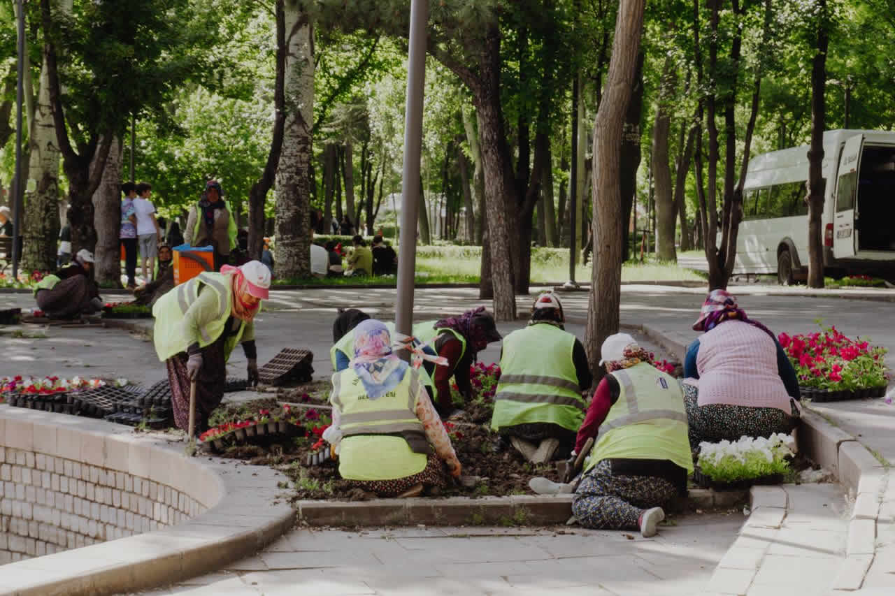 Community environmental activity