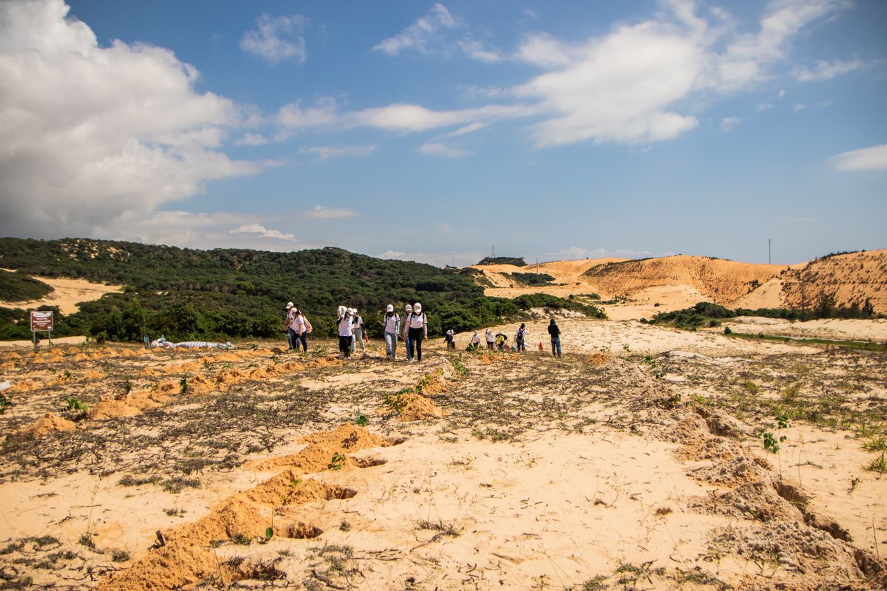 National Tree Planting Campaign