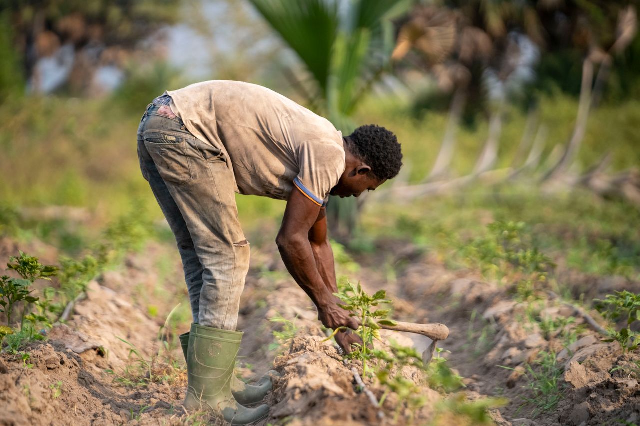 Community-led environmental conservation activities by ReGeNEarth Foundation